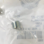 Turn Signal Screw Lock for Harley-Davidson Dyna (2002–2005) 67015-02