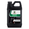 Castrol 215307 SAE 30 Synthetic Oil for 4-Cycle Gas Engines (48oz)