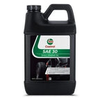 Castrol 215307 SAE 30 Synthetic Oil for 4-Cycle Gas Engines (48oz)