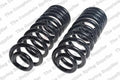 Front Coil Spring for Lesjofors (4127606)