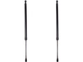 Liftgate Lift Support Set of 2 for Mazda CX-30 (2020–2022) RG946VM