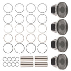 Pistons & Rings Set for Toyota Camry RAV4 Scion tC Lexus 2007–2013 (2.4L)