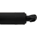 Liftgate Lift Supports for Audi Q3