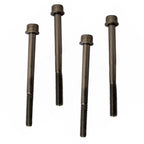 Set of 4 Replacement Bolt Screws for Chainsaws (Fits Models 136 137 141)