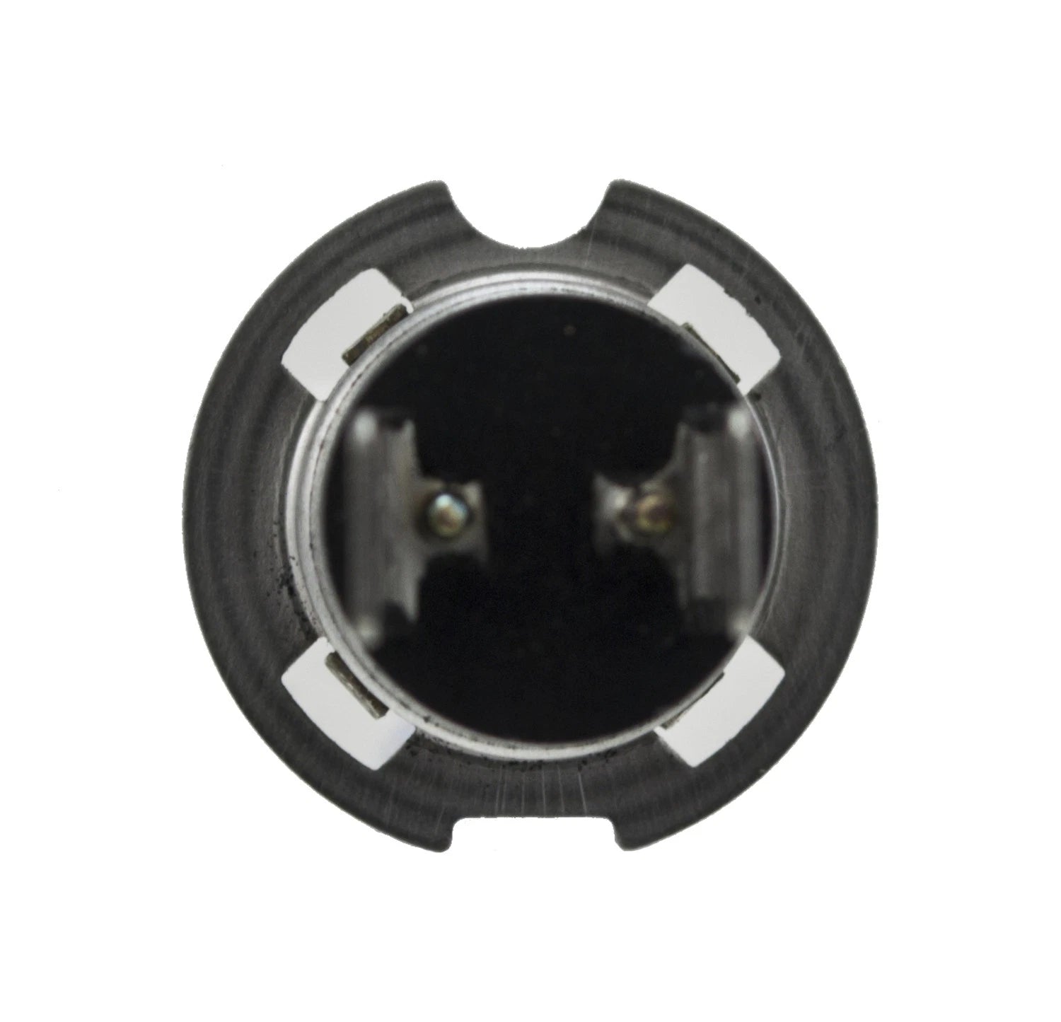 Hella Front Fog Light Bulb for Acura TL (2004–2008) H71071332