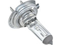 Low Beam Headlight Bulb PH249NN for Suzuki Grand Vitara (2006–2013)