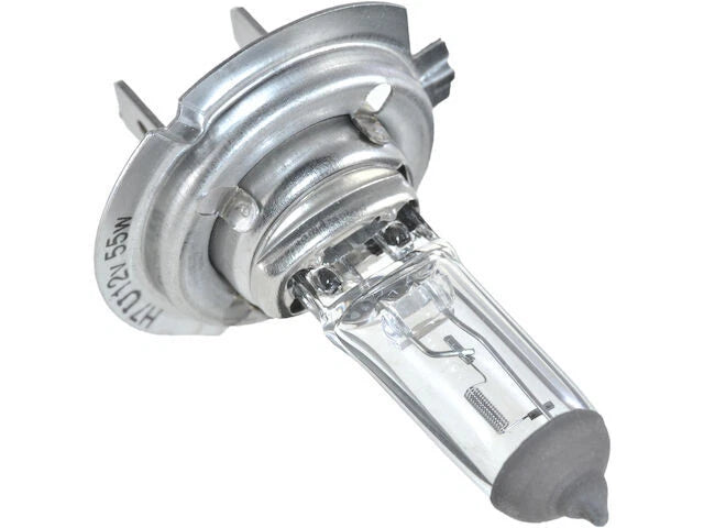 Low Beam Headlight Bulb PH249NN for Suzuki Grand Vitara (2006–2013)