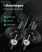 Rear Set Shocks Struts for Toyota Highlander (2008–2013), Venza (2013–2016)