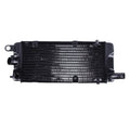 Radiator Grille Guard for Honda Shadow 600 Steed 400 NV600 (1988–1998)