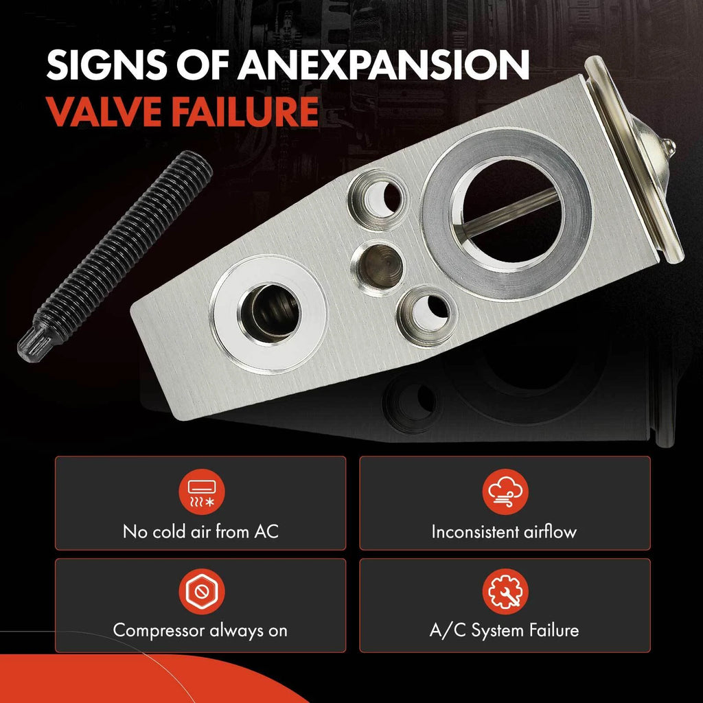 A/C Expansion Valve for Buick Lucerne Cadillac DTS (2006-2011)