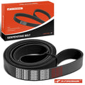 Serpentine Belt for Chevrolet Corvette (1984–1996)