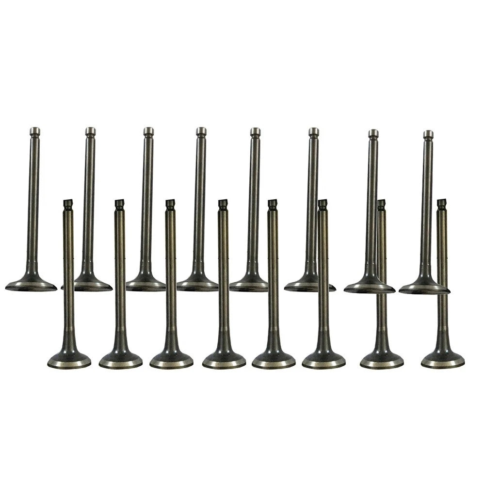 Exhaust & Intake Valves for Hyundai Accent/Kia Rio (2001-2011)