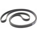 Drive Belt for Chevy Ford F-150 F-250 F-350 Yukon Suburban Mustang