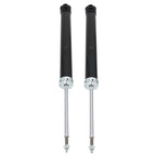 Set of 2 Rear Struts Shocks for Hyundai Sonata (2015–2019) Kia Cadenza (2017–2020)