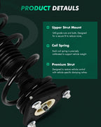 2X Complete Struts & Coil Spring Assembly for Ford Focus (2013–2018)