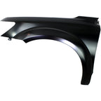 Fender for Dodge Journey (2009–2020) Front Driver and Passenger Side