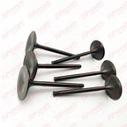 Set of 6 Intake Valves for Sea-Doo 1503 / 1630 4-TEC (2002–2017) 010-005 420254290