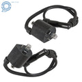 2X Ignition Coils for Yamaha Virago XV700 XV750 XV1000 XV1100 (1981–1999)