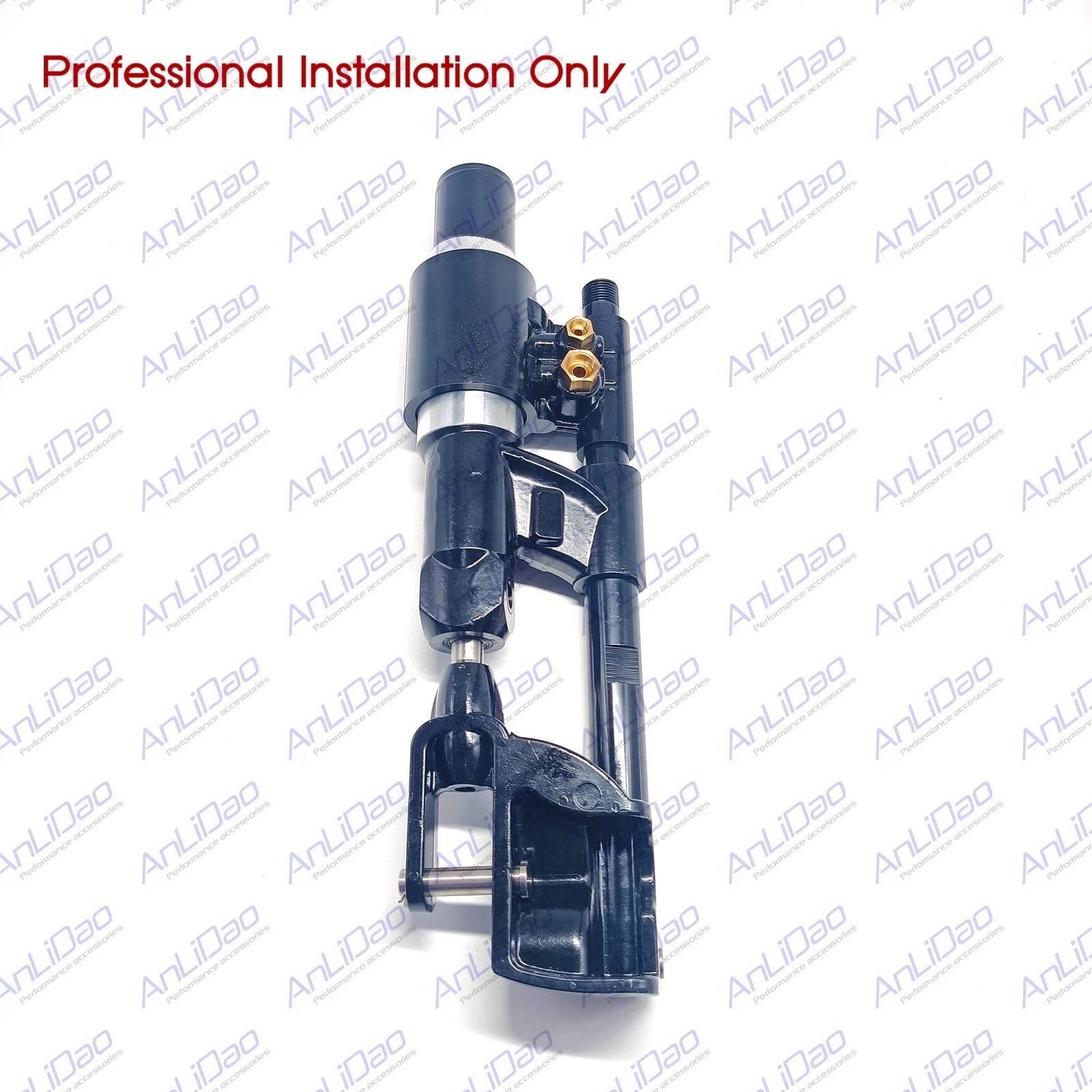 Power Steering Actuator Ram Cylinder Assembly for Volvo (21910902, 3812269)