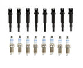 Set of 8 Ignition Coils & 8 Spark Plugs for BMW F10 E71 F02 F01