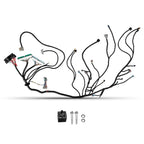 Swap Harness for LS1 Vortec T56 4L80E (2003-2007)
