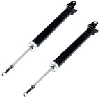 2X Rear Struts for Infiniti G25 G35 G37 (2007–2012)