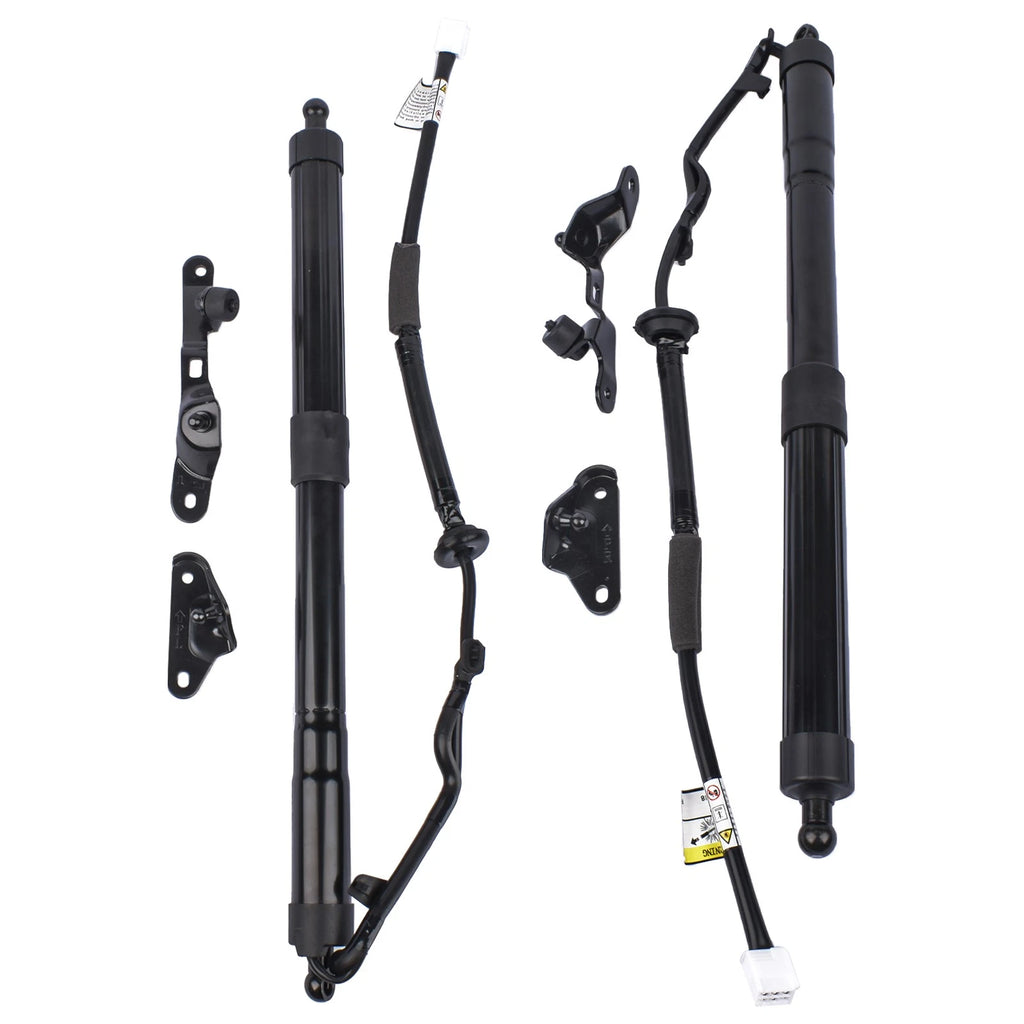Set of 2 Rear Tailgate Lift Support Struts for Toyota RAV4 (2013–2018)