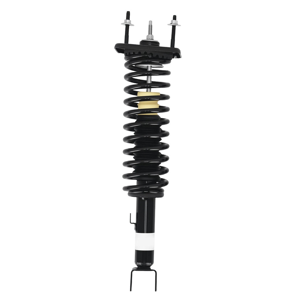 Pair Rear Struts w/ Coil Springs for Chrysler Sebring 2.5L (1999–2000) 371311