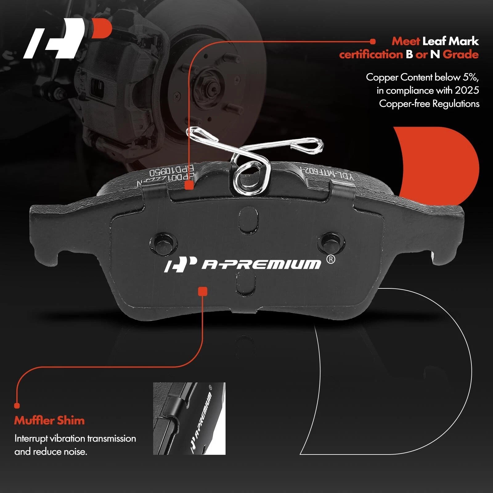 Rear Disc Brake Rotor & Ceramic Pad Set for Ford Focus