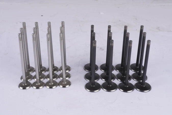 Engine Valve Set for Chrysler 300 Dodge Charger Avenger VW Routan (2005–2019)