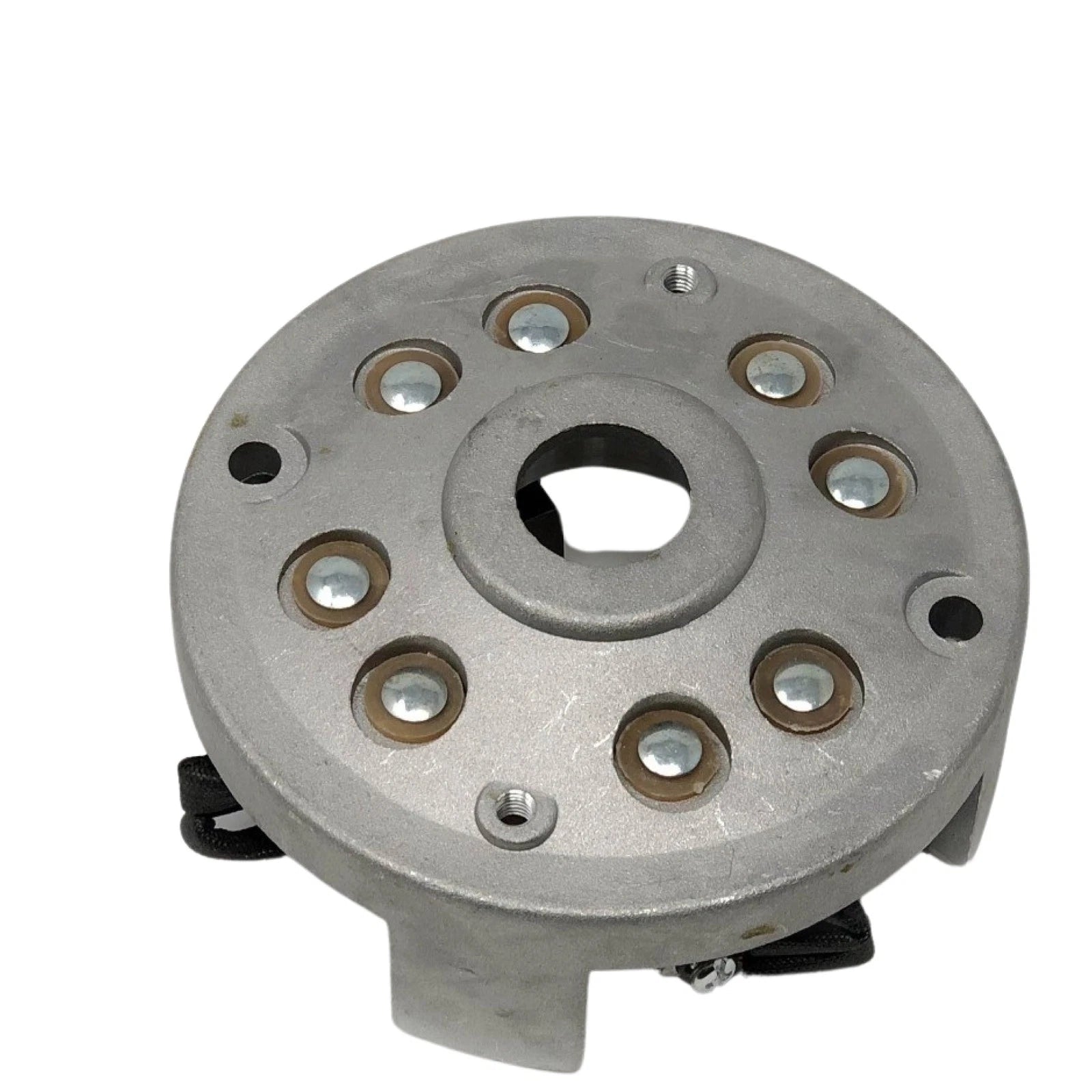 Motor Carbon Brushes & Support Assembly for Windlass Pacific 1000 (FO3953)