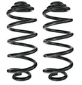 Set of 2 Rear Coil Springs for BMW X5 X6 (E70)