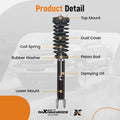 Front Struts & Rear Shock Absorber w/ Control Arm for Dodge Magnum (2005–2008)
