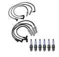 Denso Wire Set & 6 U-Groove Spark Plugs for Dodge 3.9 V6 (1996–2003)