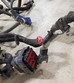 Engine Fuel Harness for Ford Thunderbird Cougar (1994–1995) 4.6L