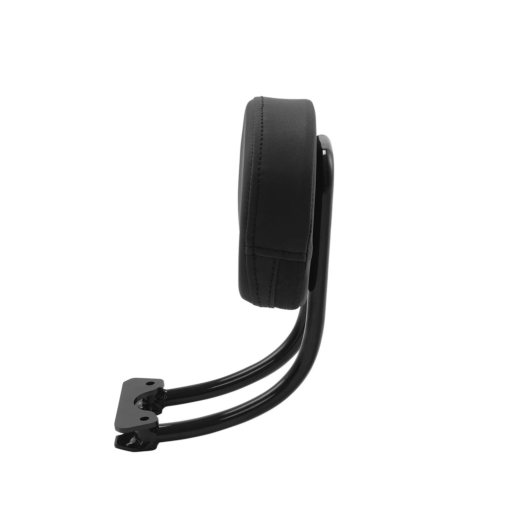 Passenger Pillion Seat & Backrest Pad for Sportster S RH1250S (2021–2025)