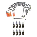 Denso Wire Set & 8 U-Groove Spark Plugs Kit for Ford Mercury V8