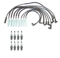 Denso Wire Set & 8 Iridium TT Spark Plugs for Dodge 5.2 5.9 V8 (1994–2003)