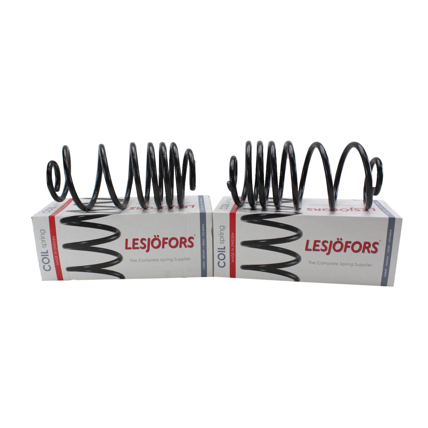 Rear Coil Spring Kit for Chevrolet Monte Carlo Pontiac Grand Prix (1995–2005)