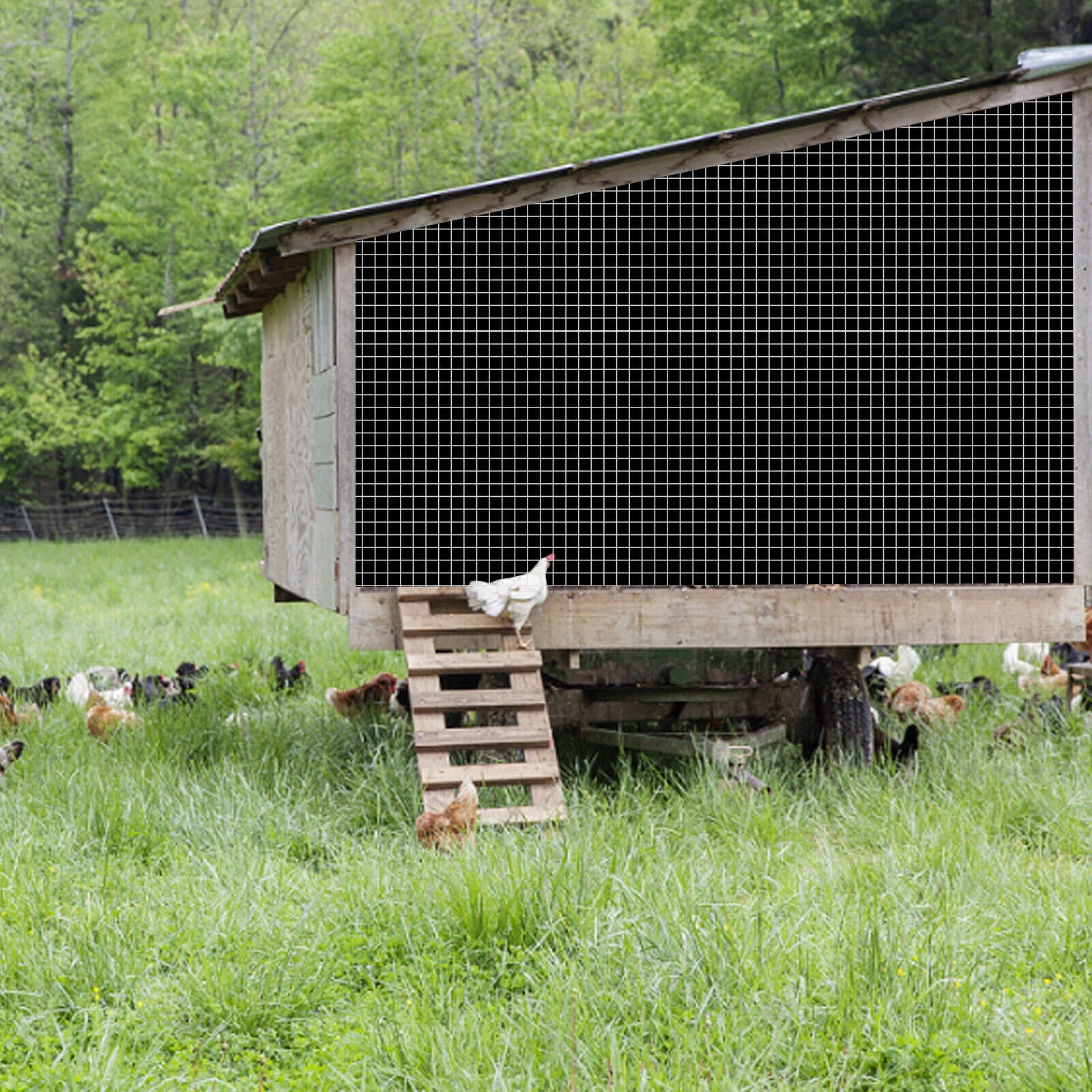 1/4 Inch Hardware Cloth for Chicken Coop (36" x 100')