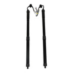 Electric Tailgate Struts for Nissan Rogue (2014-2019)