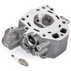 Cylinder Head Valves Kit with Spark Plug for Honda Foreman 500 TRX500 (2012–2019)