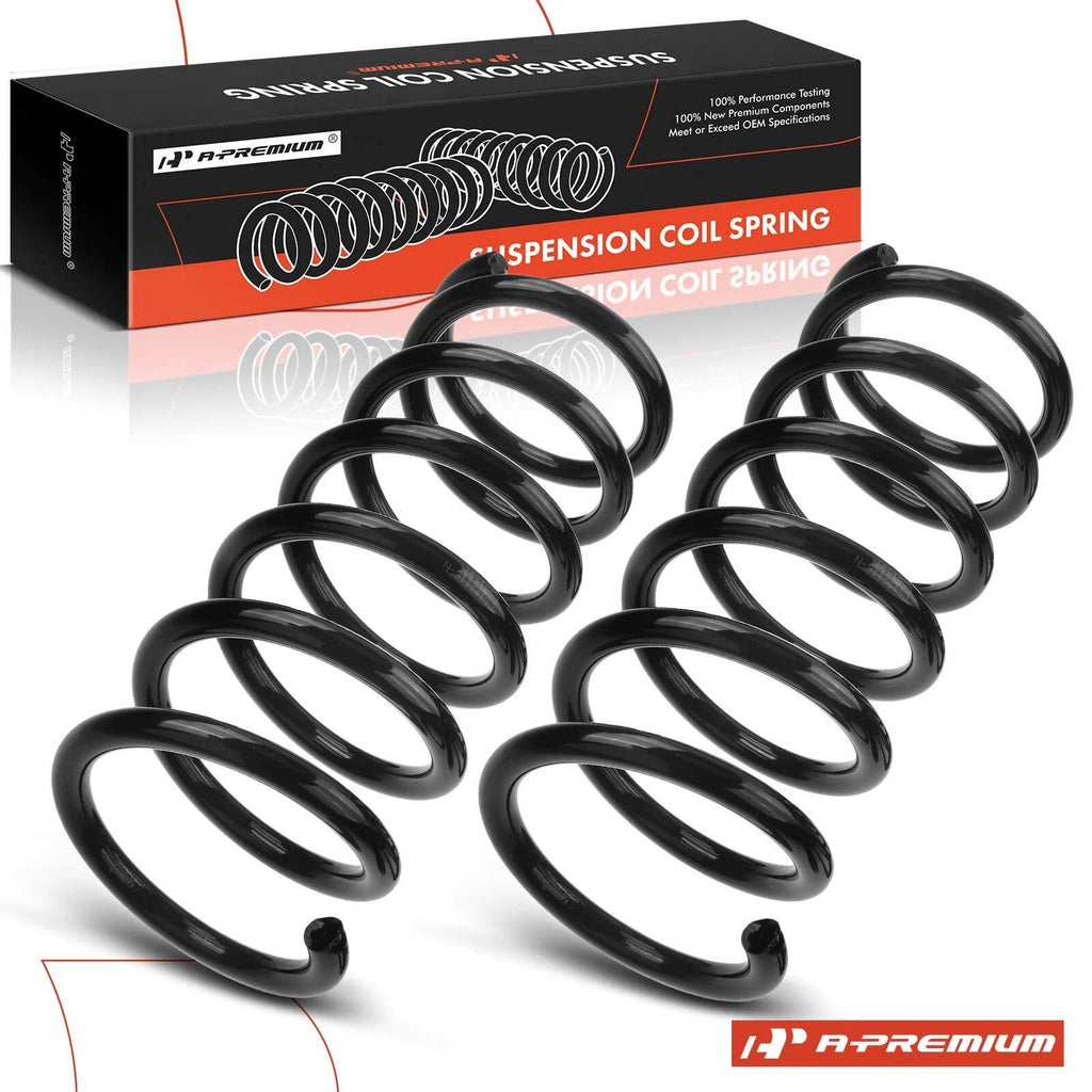2X Rear Coil Springs for Hyundai Santa Fe (2001–2006)