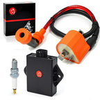 Ignition Coil Spark Plug for Suzuki Quadrunner 250 (2002-2006)