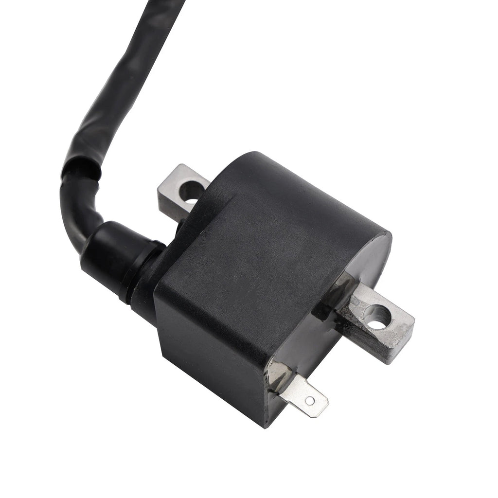 CDI Box Igniter for Suzuki TS50 TS50X LT50 (1990–2005)