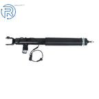 2X Rear Shock Absorbers for Lincoln MKS (2013-2016)