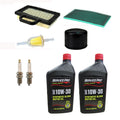 Filters w/ Spark Plugs & Oil for Stens