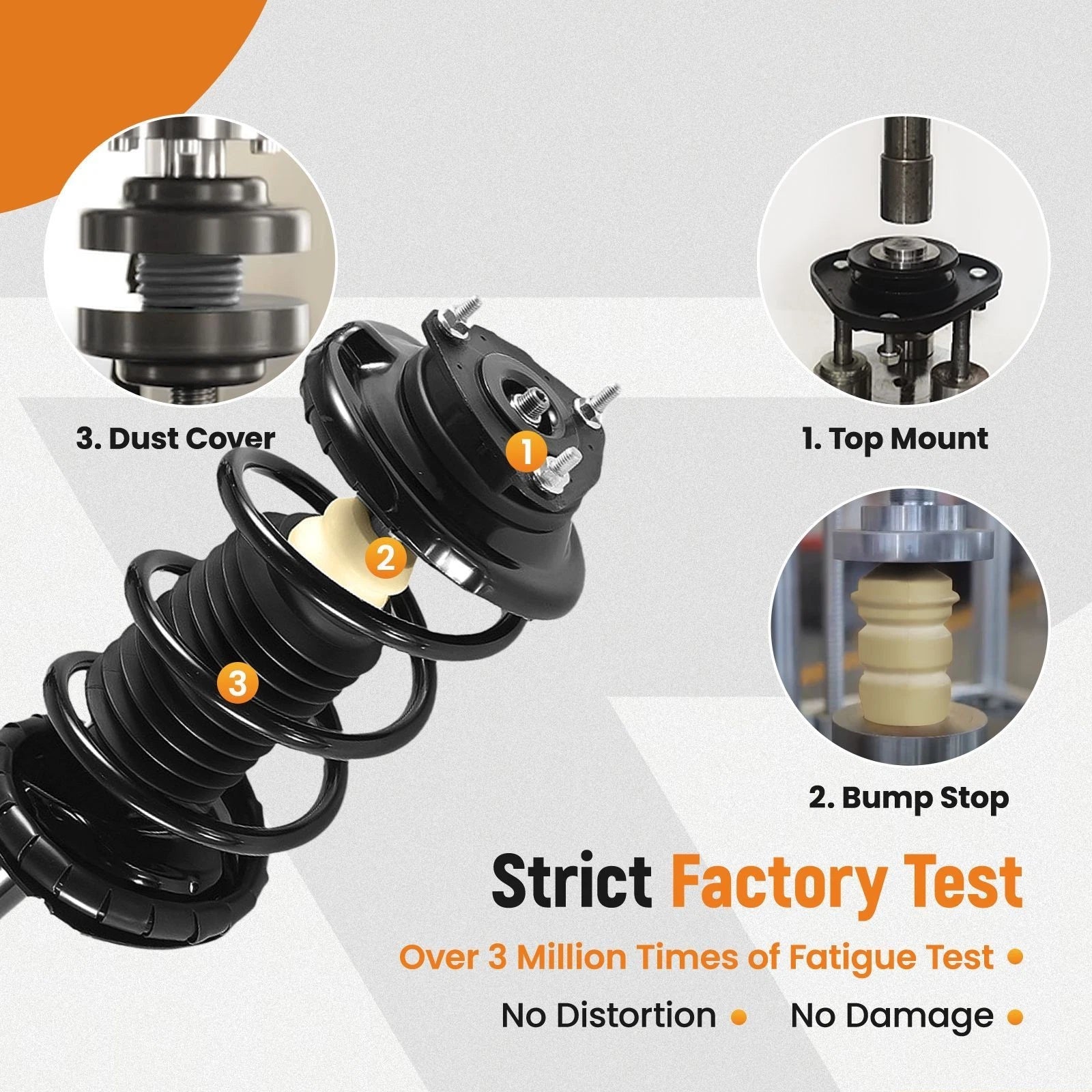 Complete Strut Set for Ford Focus (2000-2005)