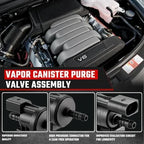 EVAP Vapor Canister Purge Valve Solenoid Assembly for Car