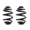 Set of 2 Rear Coil Springs for BMW E46 M3 (2001–2006)